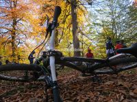 MTB Tours